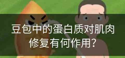 豆包中的蛋白质对肌肉修复有何作用？